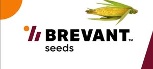 Brevant seeds
